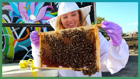 How do bees find food in the city? Urban Beekeeping and Hive Mind:  - BBC Earth Unplugged